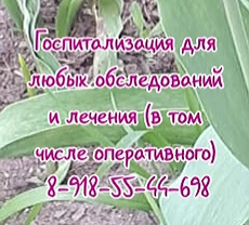 Полежаев хирург в Санкт-петербурге