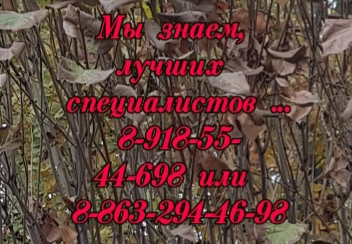 Обследование и лечение в медицинских центрах Ростова-на-Дону, в т.ч. амбулаторное