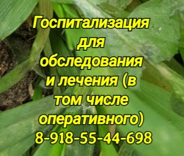Майкоп. Невролог - Бгуашева Р.И.
