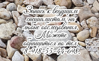 Бобат терапевт ростов