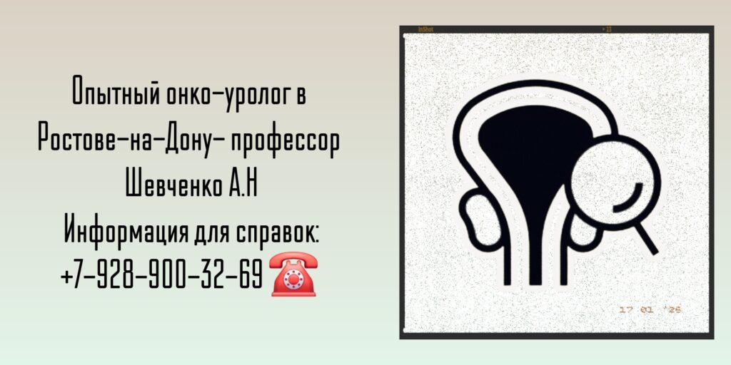 Консультация онколог-уролог в Ростове-на-Дону - Шевченко А. Н.